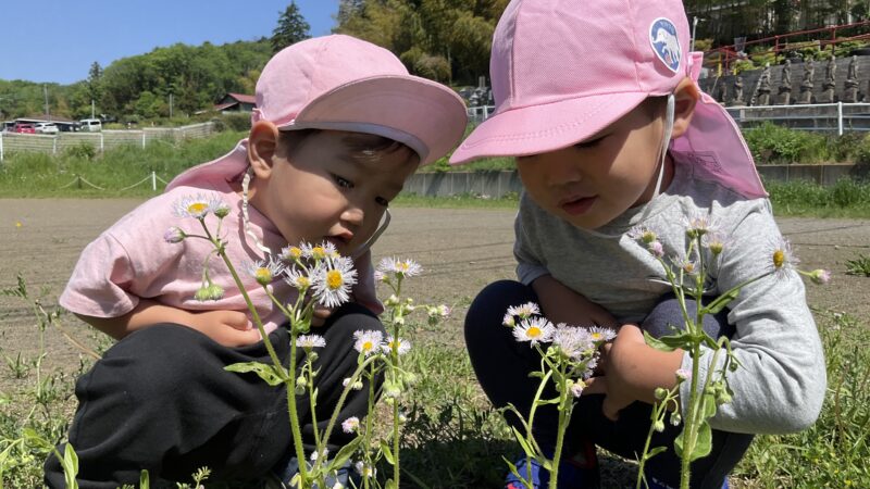 心組の「ひろばで虫探し隊🔍🐞🌷」