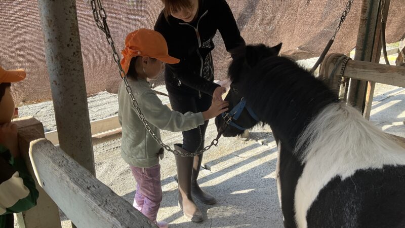 乗馬体験に行ってきました！