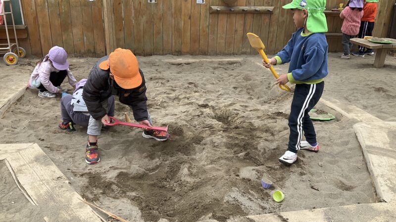 今日は何する？